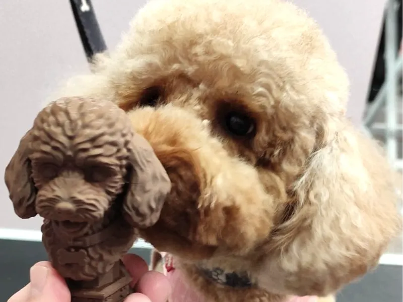 Busto Caniche Toy