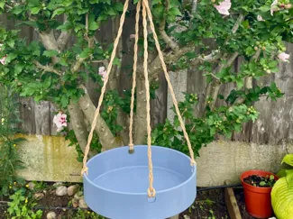 hanging bird bath, water station