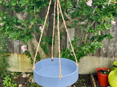 hanging bird bath, water station