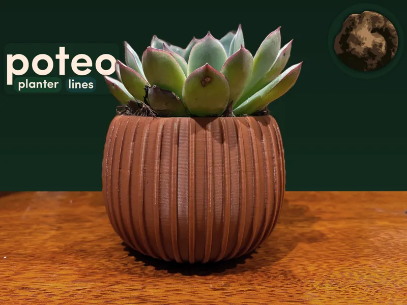poteo - planter - lines