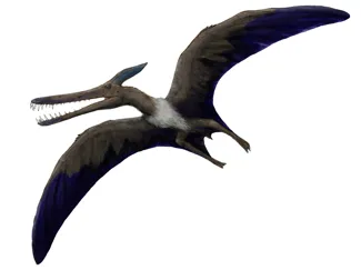 lidodactylus, (Pterosaurs) scientifically accurate