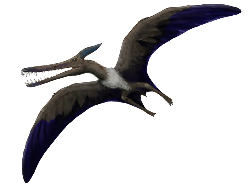 lidodactylus, (Pterosaurs) scientifically accurate