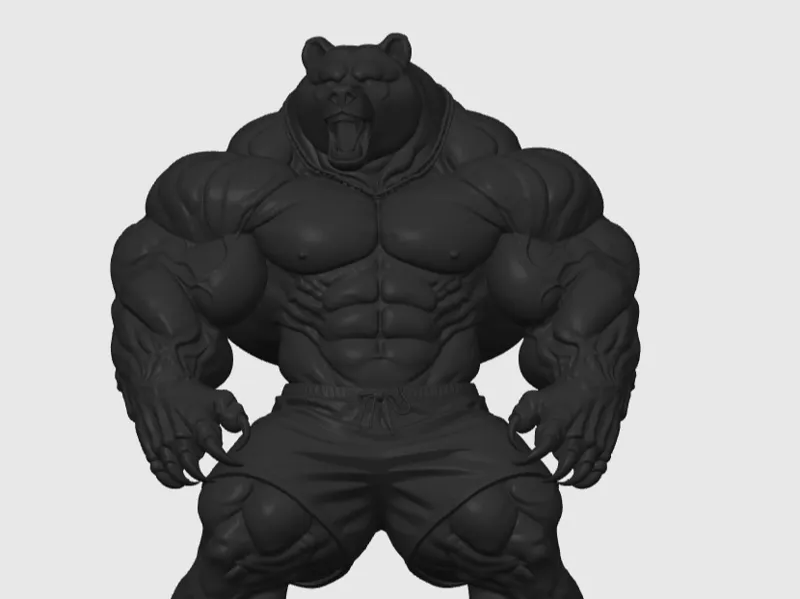 Orso Muscoloso