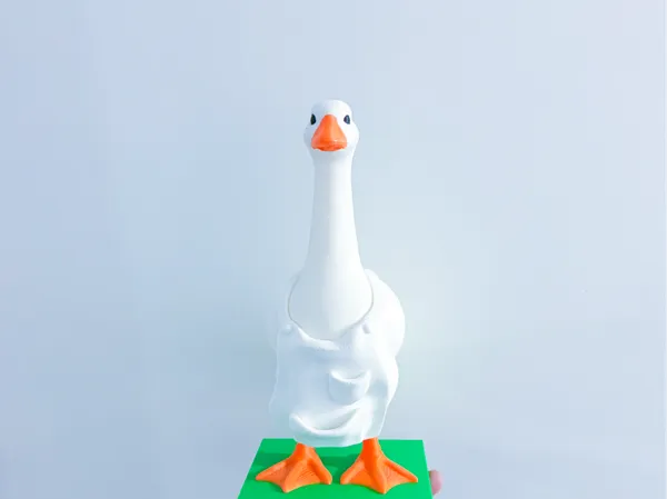 https://makerworld.bblmw.com/makerworld/model/USacdb89799751a8/design/66b9d3522eb12f79.jpg