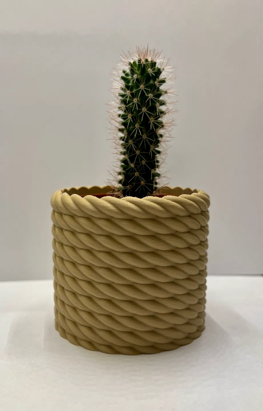 Rope plant pot by eifel3druck - MakerWorld