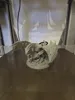 0.16mm layer, 2 walls, 15% infill