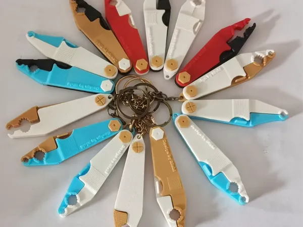https://makerworld.bblmw.com/makerworld/model/USacea75902ebf3f/design/49343650-f253-45c2-a181-0d543b3c59c4.webp
