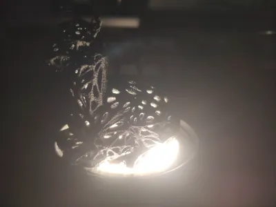 LLama lamp