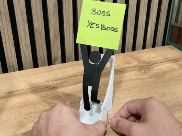 https://makerworld.bblmw.com/makerworld/model/USacecaf0d4c77af/design/2024-06-20_168c189448264.gif