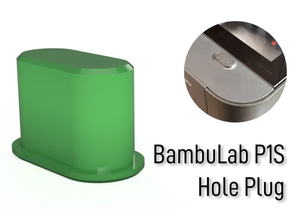 https://makerworld.bblmw.com/makerworld/model/USaceef6307e2a55/design/2024-10-23_447270b579eae.jpg
