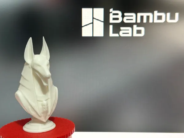 https://makerworld.bblmw.com/makerworld/model/USacf2ae637a2b2/design/2024-11-23_ac0713e6f7171.jpg