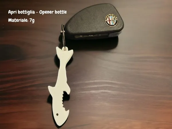 https://makerworld.bblmw.com/makerworld/model/USacf87e92a36221/design/2025-01-28_d1316cc4831a9.jpg