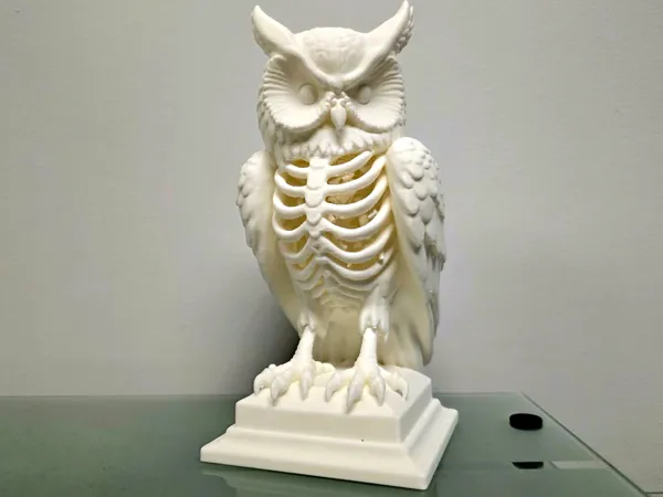 https://makerworld.bblmw.com/makerworld/model/USacffc13b4e3b32/design/2025-10-02_0a8f671538d77.jpg
