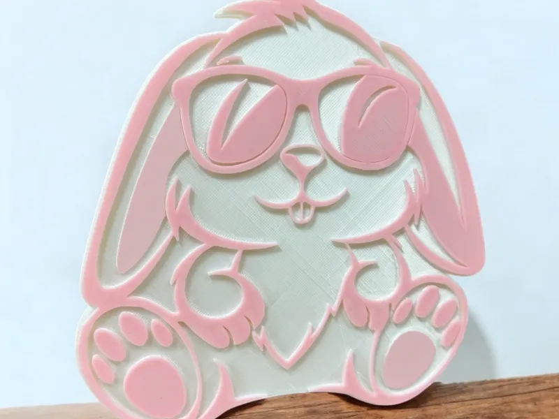 Hase mit Sonnenbrille