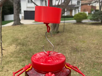 Humming Bird Feeder Ant Moat