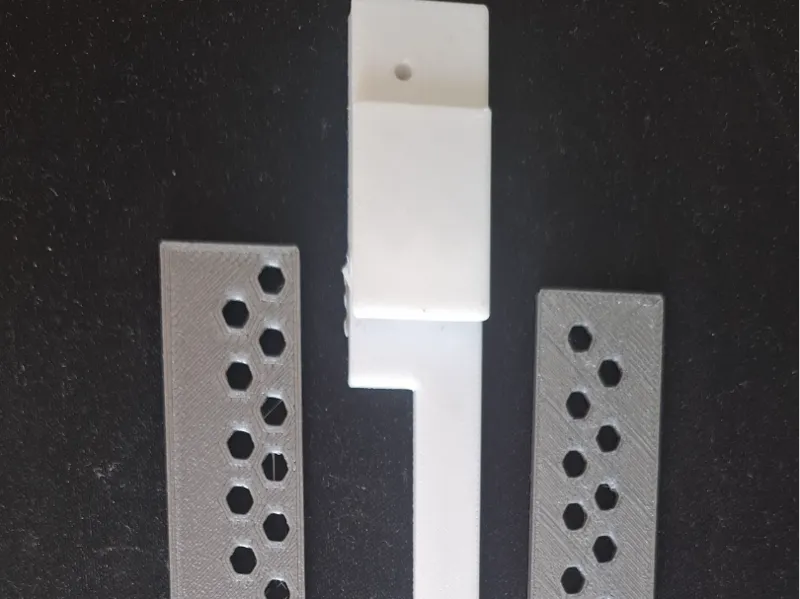 beeguard