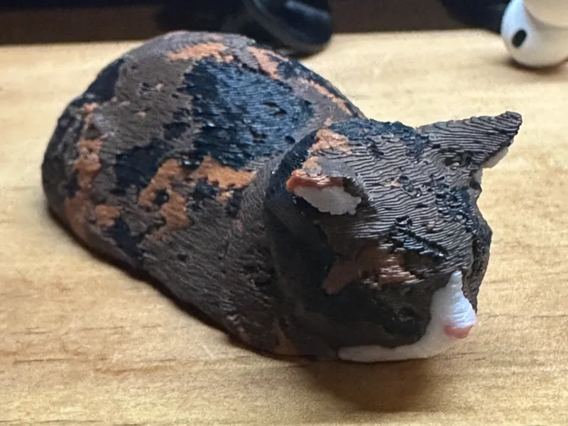 3d scan of cat 