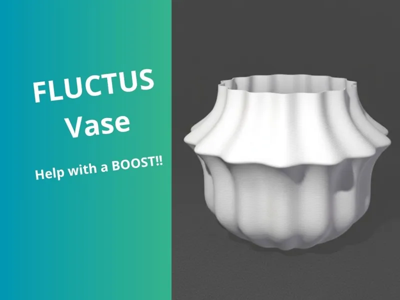 FLUCTUS