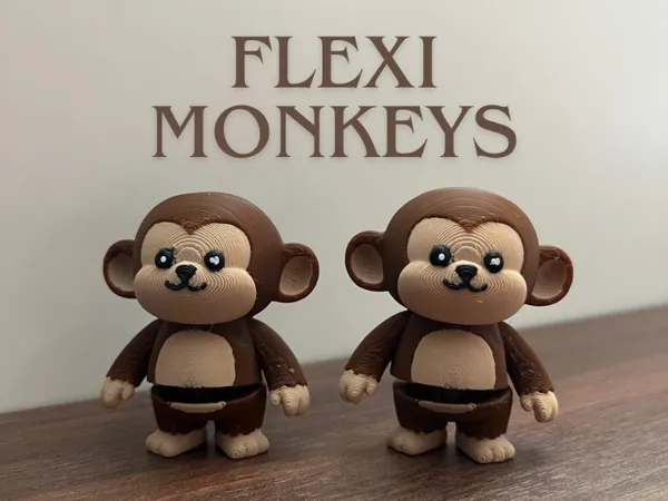 https://makerworld.bblmw.com/makerworld/model/USad12e00135b20d/design/f103163d495824aa.png