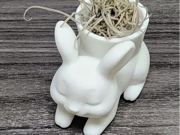 https://makerworld.bblmw.com/makerworld/model/USad165faf657eca/design/2025-04-16_2bd3560c06814.jpg
