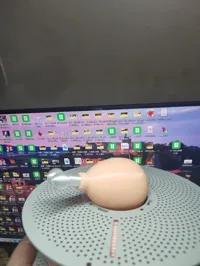 Figurine cuisse de poulet — photo 2
