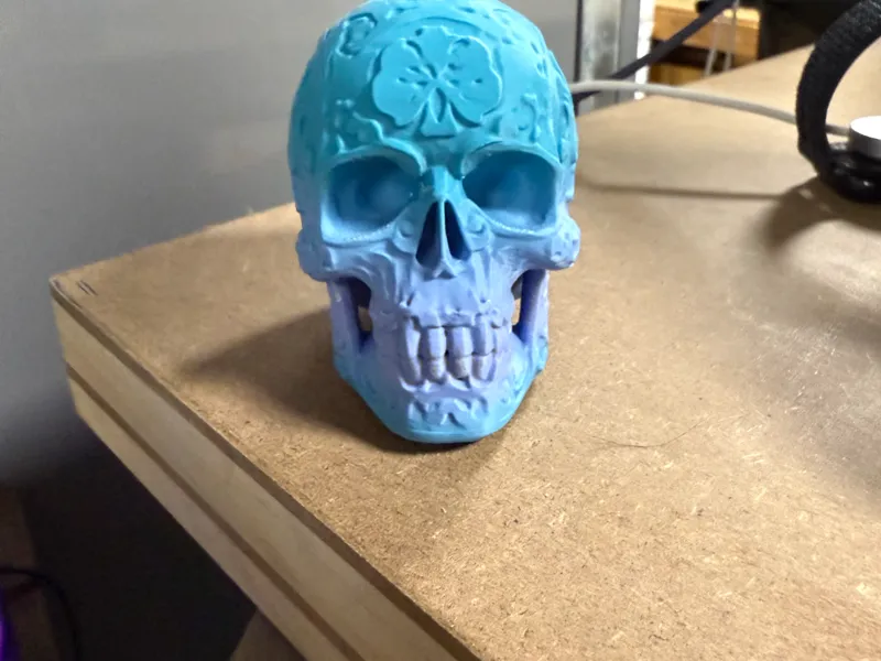 Decorative textured skull with teeth