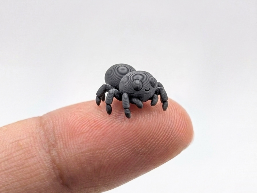 Miniatura 1 do modelo 3D The world's smallest spider (Nozzle 0.4)