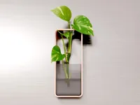 Booa Design | PVM01 Vessel