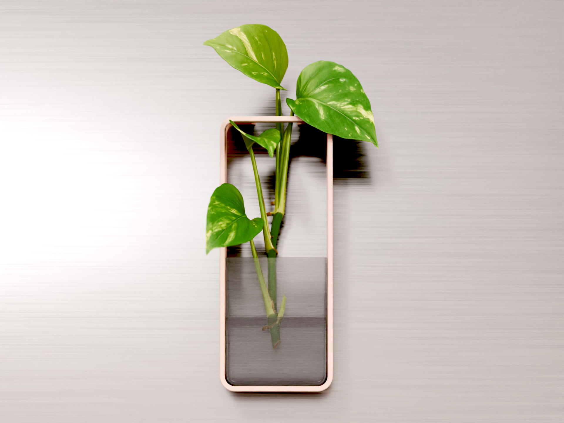 Magnetic Propagation Vase | Fridge Planter | PVM01