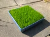 0.4mm nozzle, 0.24mm layer, 2 walls, 15% infill