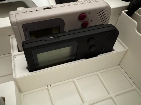 https://makerworld.bblmw.com/makerworld/model/USad22238e7225f6/design/2025-01-31_563bb3dc189ea.jpeg