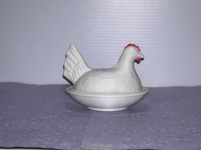 Hen on Nest