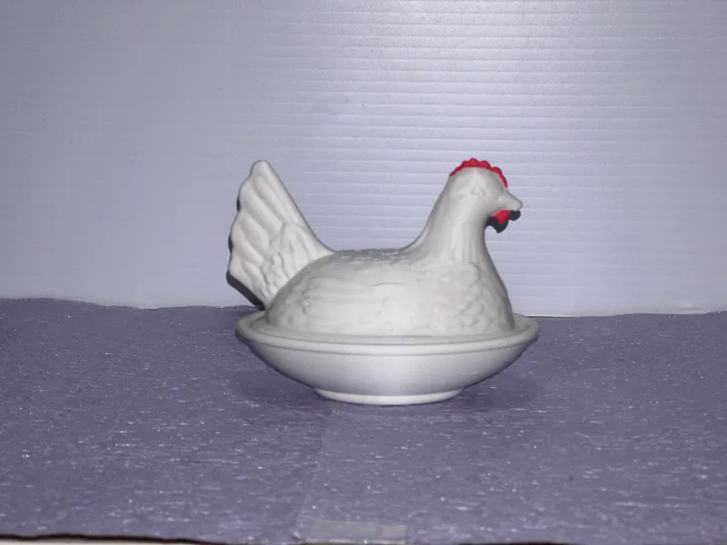 Hen on Nest