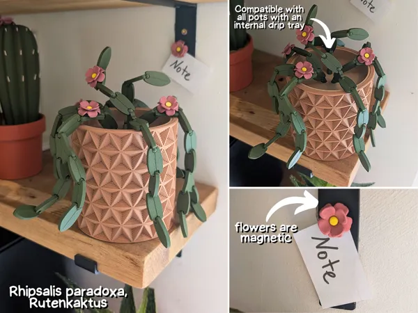https://makerworld.bblmw.com/makerworld/model/USad26fed49254d2/design/2025-07-12_082c3a41998fe8.jpg
