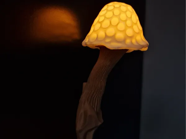 https://makerworld.bblmw.com/makerworld/model/USad2aefc4c4c756/design/2025-12-29_7537da3e894ed.jpg