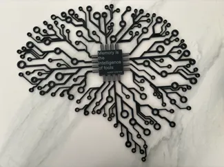 Brain Electronic Circuit
