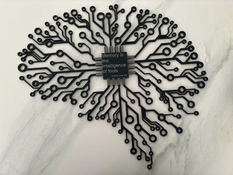 Brain Electronic Circuit