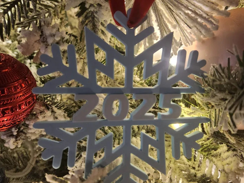 2025 Snowflake