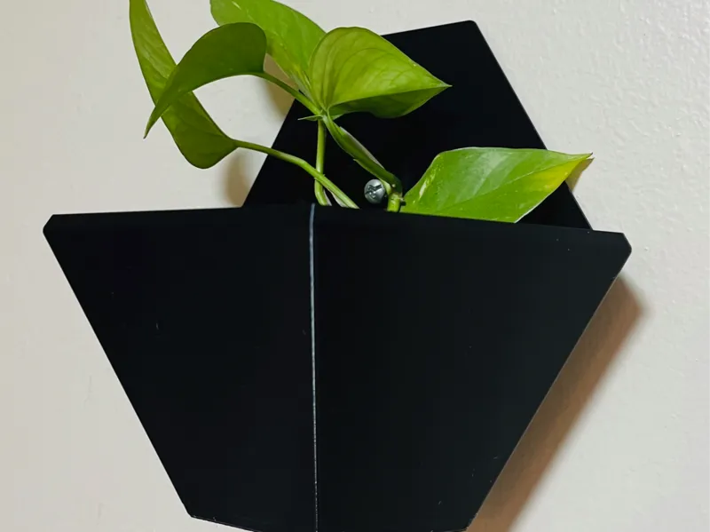 Plant Holders - Wall Mounted
