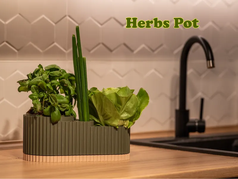 Herbs Pot