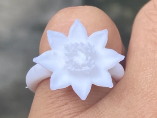 https://makerworld.bblmw.com/makerworld/model/USad37b882f9b6c/design/2025-07-03_13ae129a69cb78.jpg