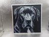 Great Dane_170x170_A1 Mini