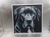 Great Dane_170x170_A1