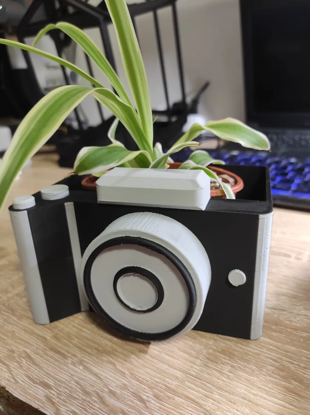Flower plot planter by Daniel MakerWorld: Download Free 3D Models