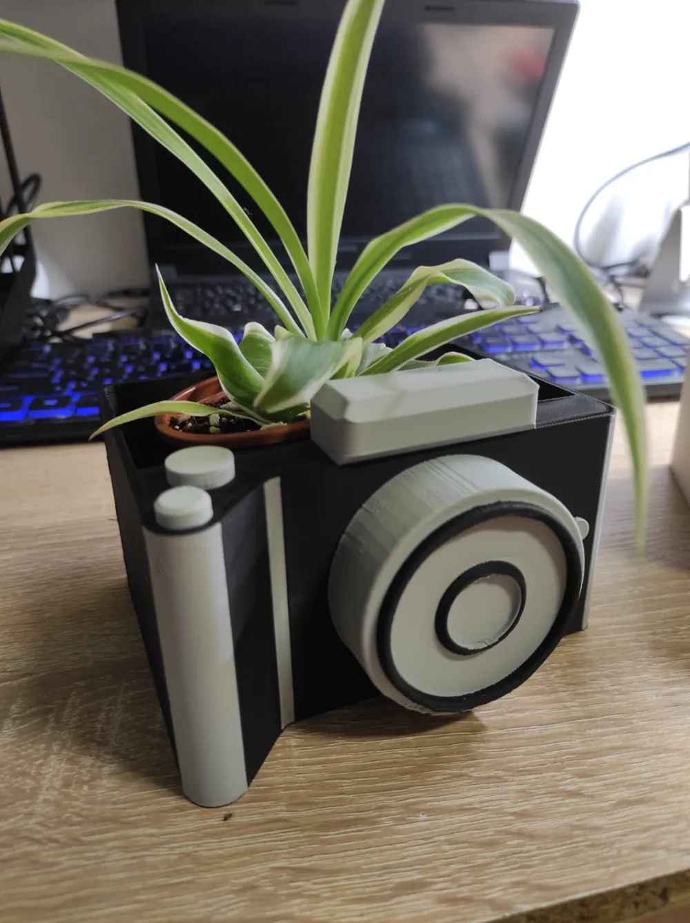 Flower plot planter by Daniel MakerWorld: Download Free 3D Models