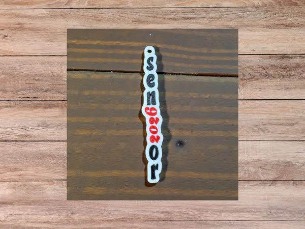https://makerworld.bblmw.com/makerworld/model/USad4a7489d646f0/design/2025-12-10_a979837d598ad.png