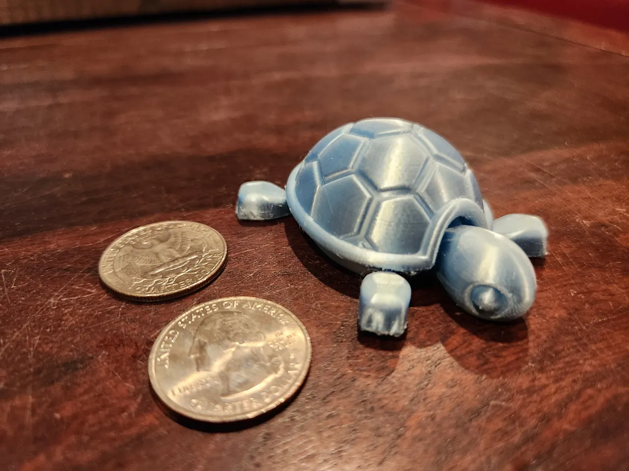 Cutie Baby Turtle view 2