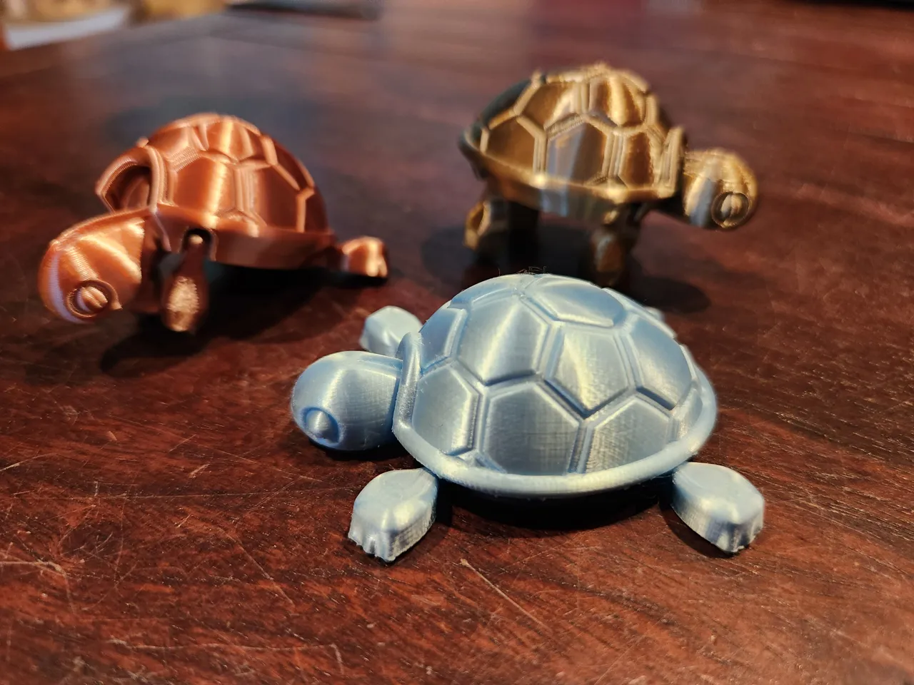 Cutie Baby Turtle view 4