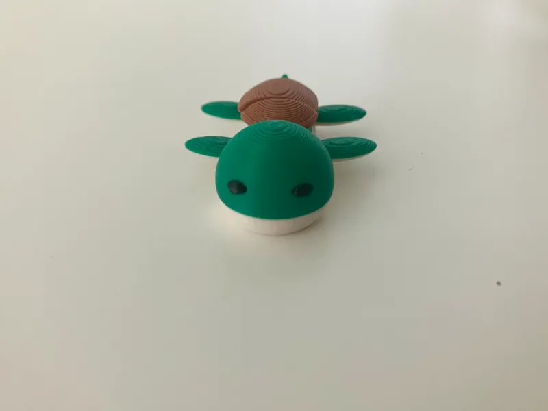 Turtle Pocket Pal
