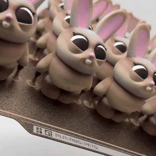 https://makerworld.bblmw.com/makerworld/model/USad5608c0e765f0/design/2024-06-10_2ce27e1fd4692.gif